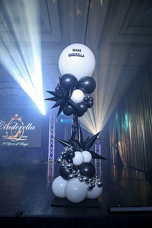 0007bwparty26