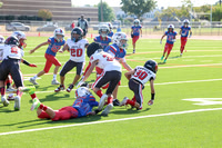 014argyle mblue26