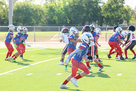 213argyle mblue26
