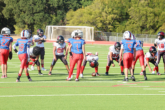 193argyle mblue26