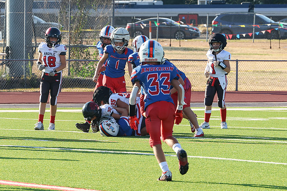 336argyle mblue26