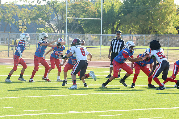 325argyle mblue26