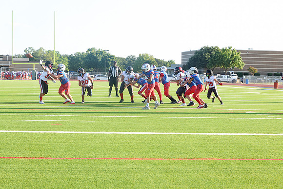 496argyle mblue26