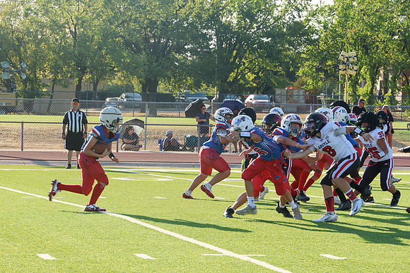 426argyle mblue26