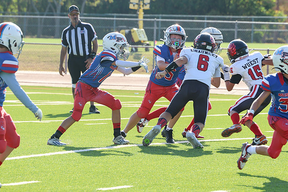 205argyle mblue26