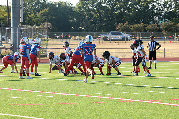331argyle mblue26