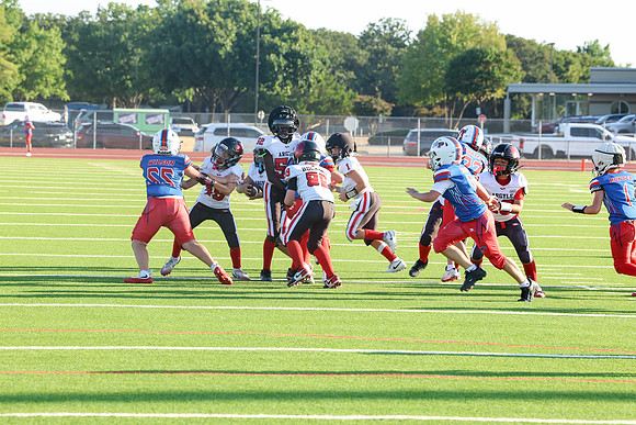 462argyle mblue26