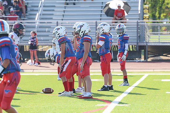 231argyle mblue26
