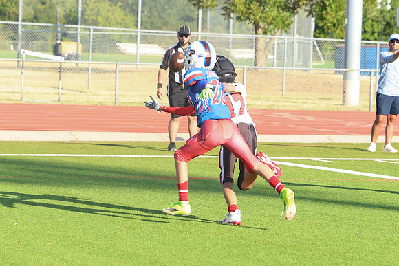 317argyle mblue26
