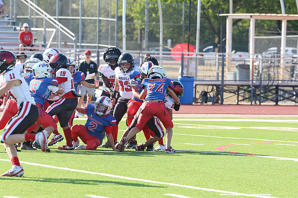 159argyle mblue26