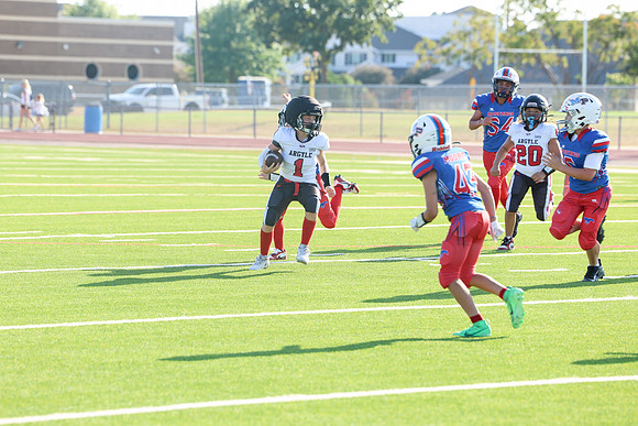 260argyle mblue26