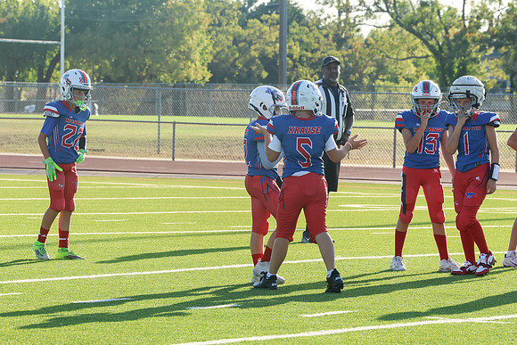 407argyle mblue26