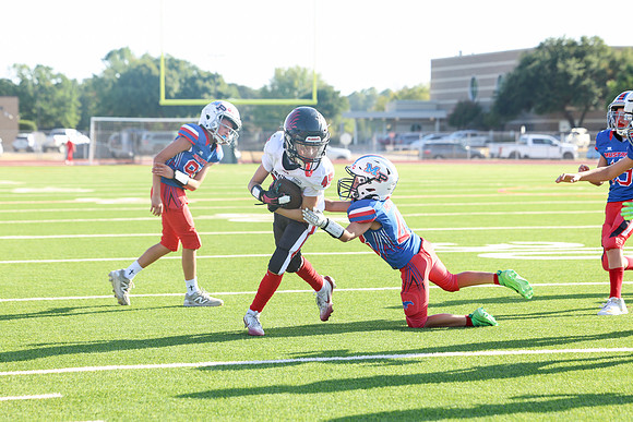 292argyle mblue26