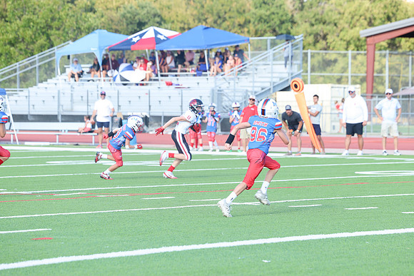 195argyle mblue26
