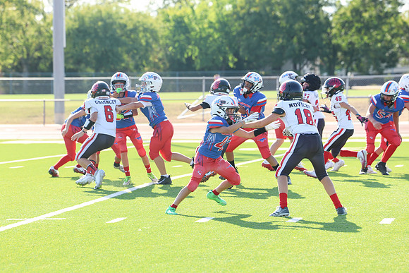 217argyle mblue26