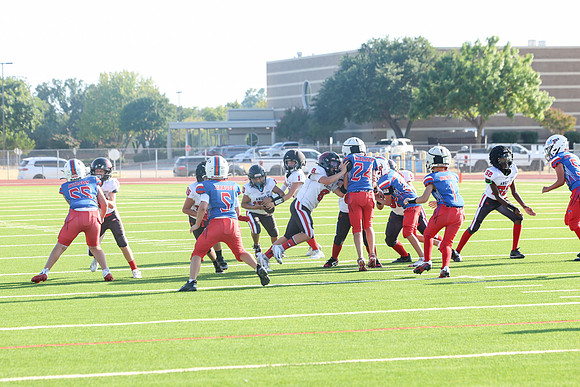 297argyle mblue26