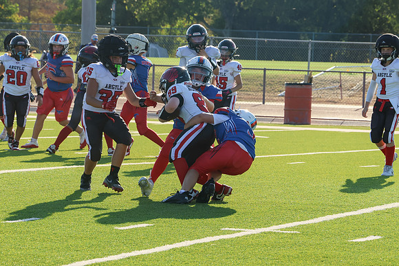 391argyle mblue26
