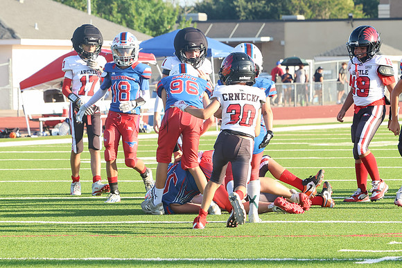 487argyle mblue26