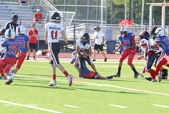 156argyle mblue26