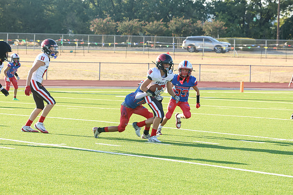 436argyle mblue26