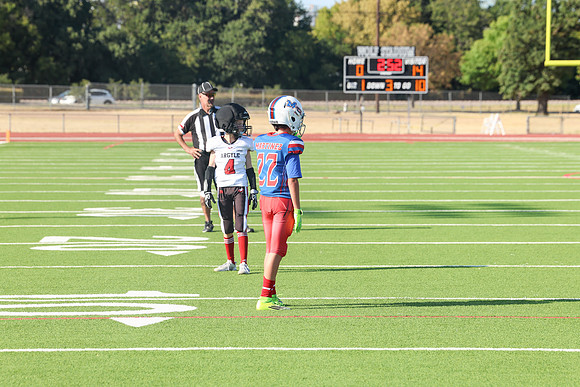 192argyle mblue26