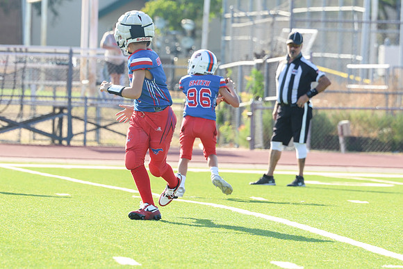 251argyle mblue26