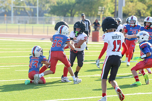 263argyle mblue26