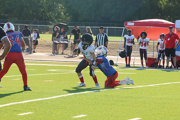 415argyle mblue26