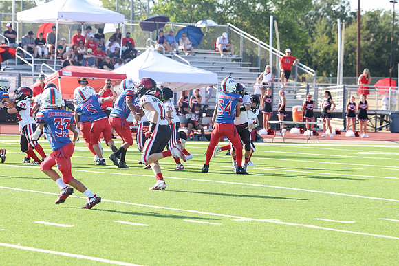 183argyle mblue26