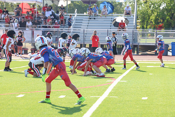 235argyle mblue26
