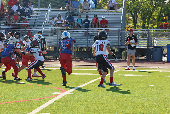 373argyle mblue26
