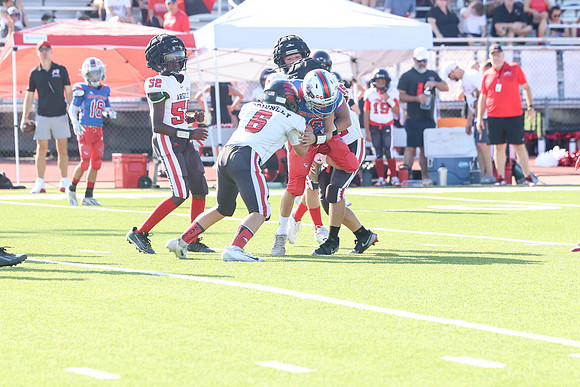 203argyle mblue26