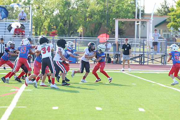 245argyle mblue26