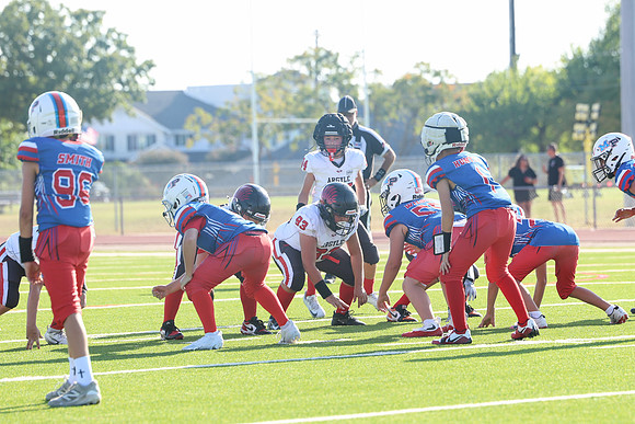274argyle mblue26