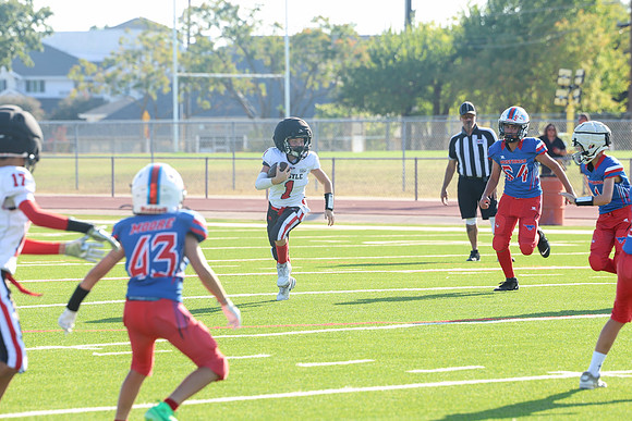 258argyle mblue26