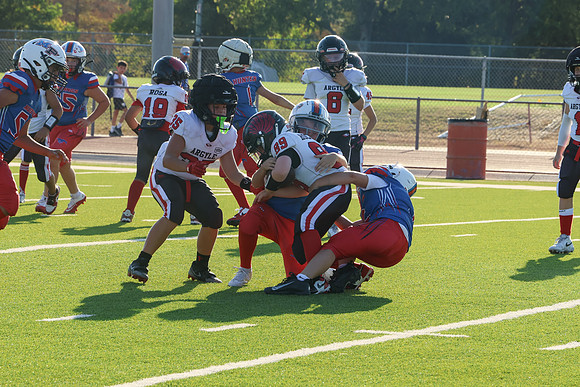 394argyle mblue26