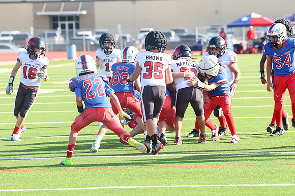 305argyle mblue26