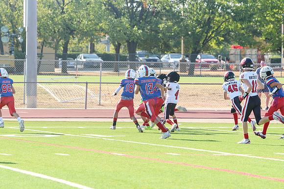 185argyle mblue26