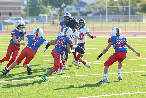 261argyle mblue26