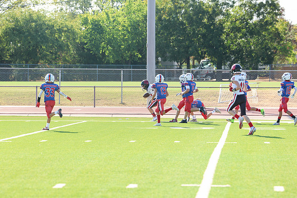 172argyle mblue26