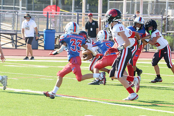 153argyle mblue26