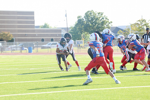 275argyle mblue26