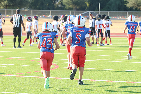 432argyle mblue26