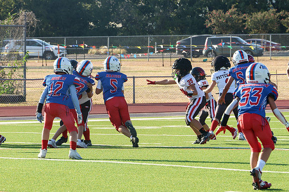 334argyle mblue26