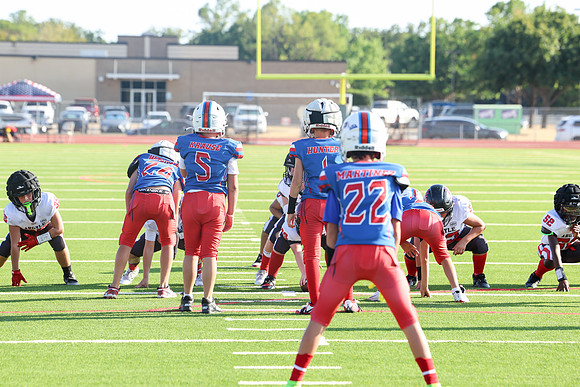 310argyle mblue26
