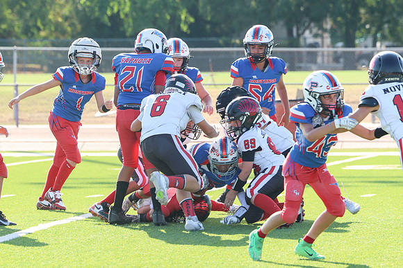 218argyle mblue26