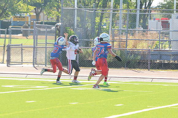 313argyle mblue26