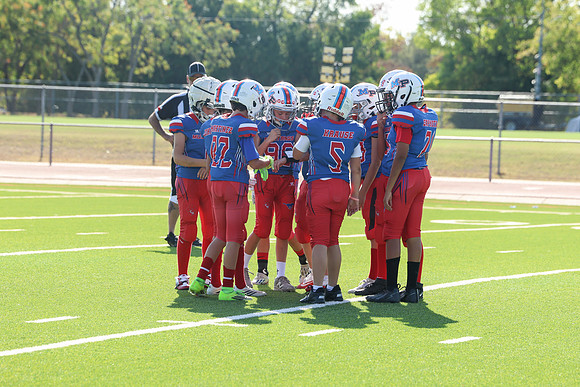 115argyle mblue26