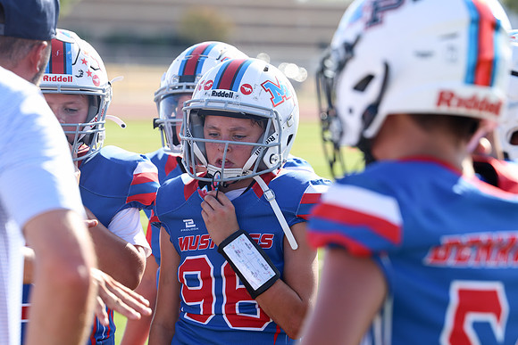 142argyle mblue26
