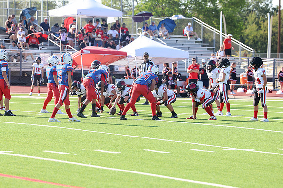176argyle mblue26